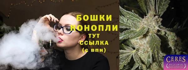 ешки Дмитровск