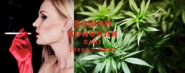 дмт Дмитров