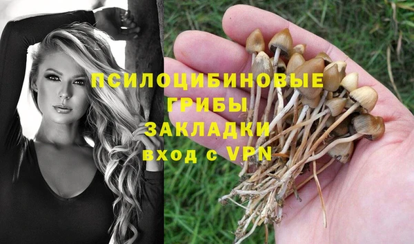 герыч Дмитриев