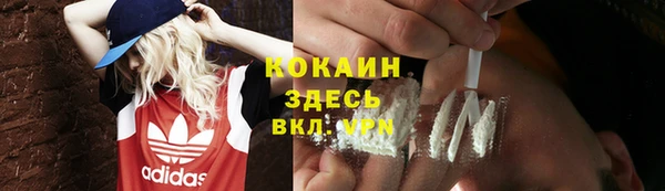 дмт Дмитров
