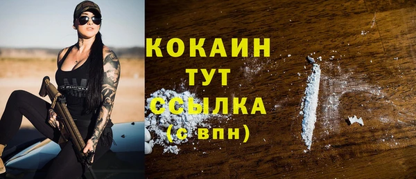 дмт Дмитров