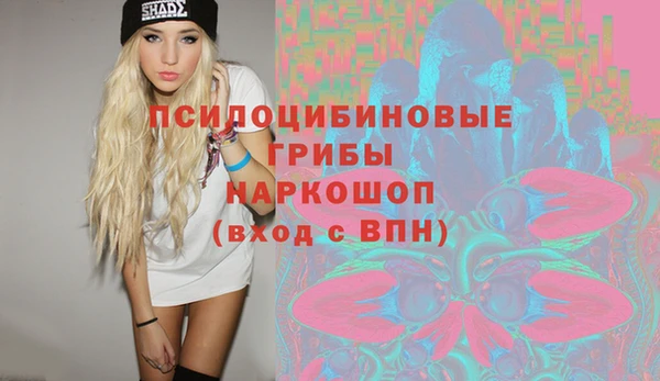 ешки Дмитровск